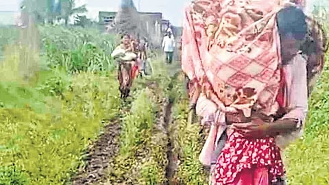 The mother and her newborn carried by their family to reach an ambulance 1.5 km away in Belagavi district
