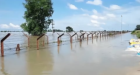 Border fence