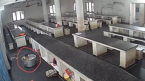 Toddler Dies After Falling Into Pot Of Boiling Milk