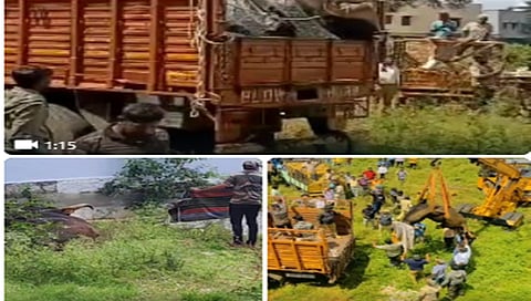 An Indian gaur rescue operation