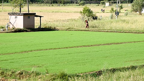 Representational image