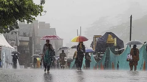 Rain