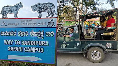 Eshwar khandre orders immediate reduction in Safari trips at Bandipur