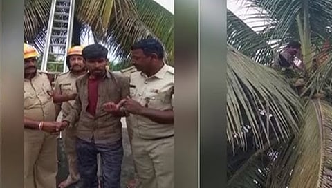 man sits on tree for four hours in  Gadag