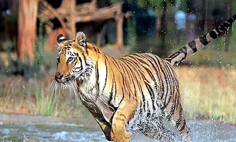 Representational image