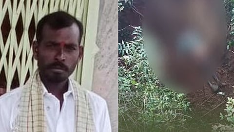Farmer killed by tiger attack