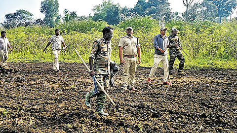 Forest officials carry out a combing operation to capture a tiger at HD Kote