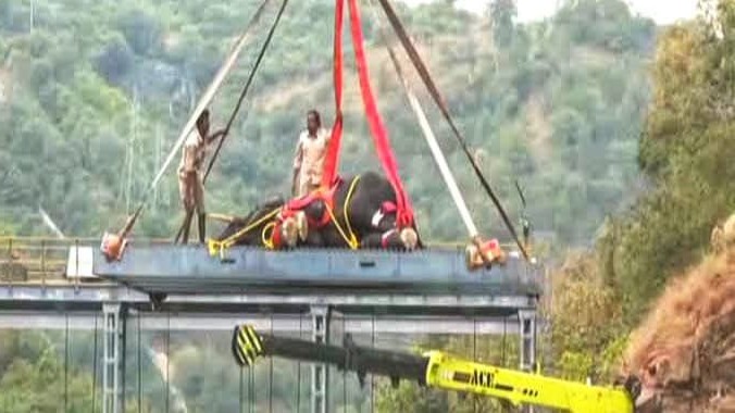 Karnataka Forest department successfully rescued the elephant calf