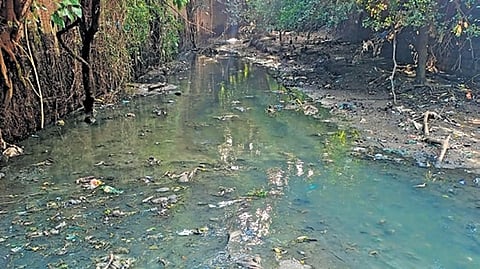 A drain carrying sewage from Srirangapatna town to the river Cauvery