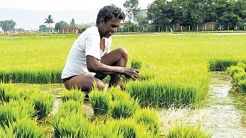 Representional image