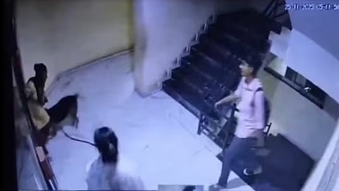 Pet Dog Attacks Woman, Owner Slaps Victim