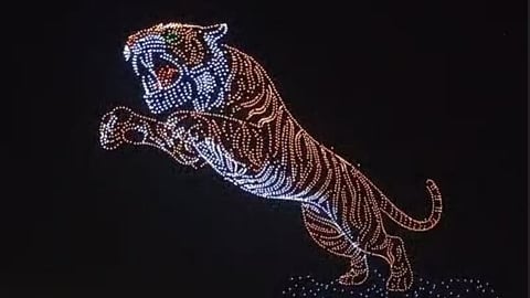 The tiger image that has caught the attention