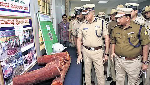 Police Commissioner Seemant Kumar Singh inspects the seized red sanders