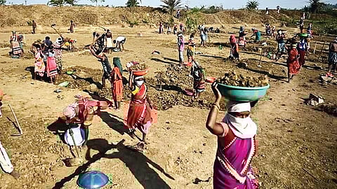 Rural areas are believed to have contributed significantly to the decline in joblessness