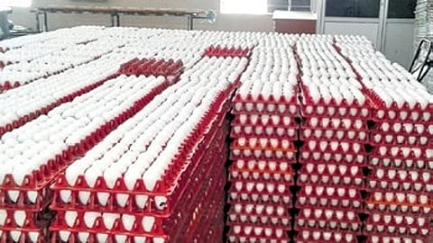 Representational image