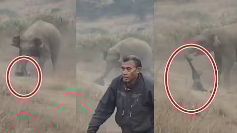 ಕಾಡಾನೆ ದಾಳಿ ದೃಶ್ಯ