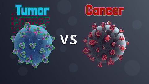 Differences between Tumor and Cancer