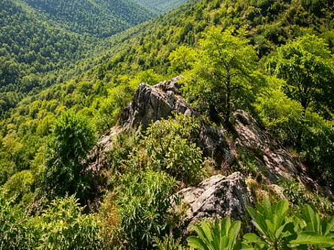 Centre imposes 'complete ban' on new mining leases in Aravalli range amid row over redefinition