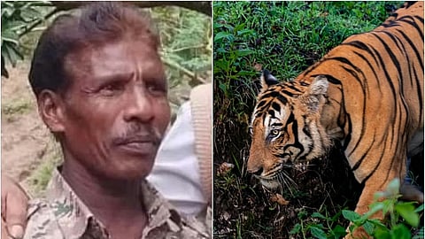 The deceased has been identified as Sanna Haida