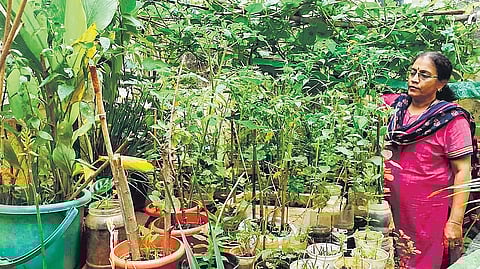 Gandhi Krishi Vigyan Kendra (GKVK) is organising an Urban Gardening Training Programme for people across all age groups