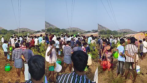 people gathered to collect oil