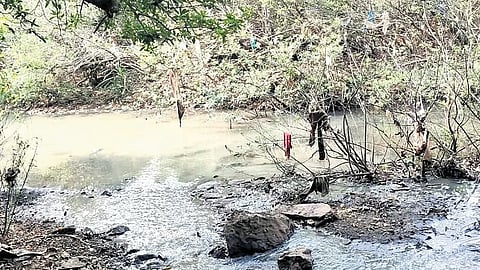 A view of the contaminated Sauparnika river in Kollur.