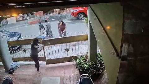 Neighbours Dog Mauls Bengaluru Woman