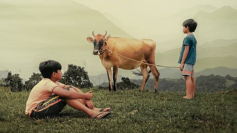 Valavaara cinema still