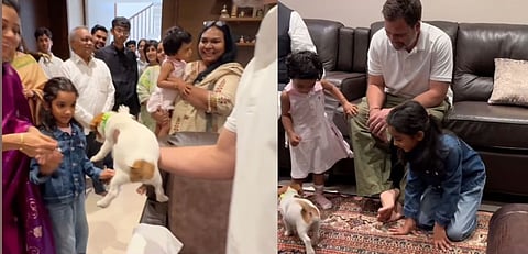 Rahul Gandhi gifted puppy to Mallikarjuna Kharge family