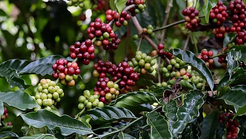 Representational image