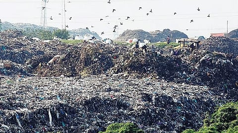 A huge quarry pit that spreads across Bellahalli, Kannur and Mitganahalli is being used to dump garbage.