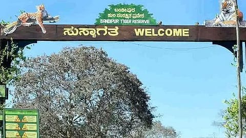 Karnataka Reserve Forest