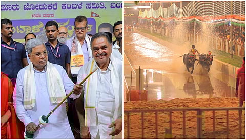 CM Siddaramaiah in Kambala