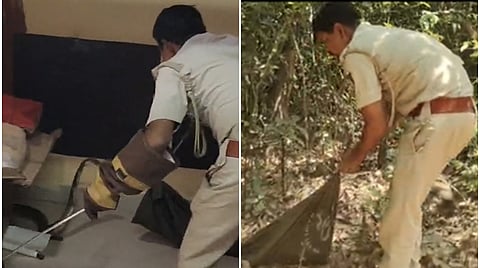 Forest department staff