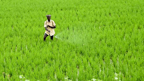 Representational image