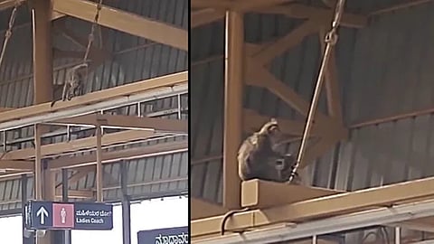 Heartbreaking scene at Namma metro station; A mother’s love never ends