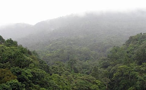 ಪಶ್ಚಿಮ ಘಟ್ಟದ ಒಂದು ನೋಟ (ಸಾಂದರ್ಭಿಕ ಚಿತ್ರ)