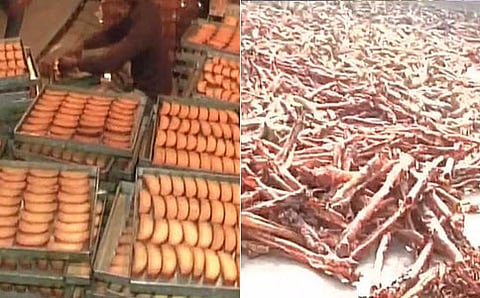 ಬಿಸ್ಕೆಟ್ ತಯಾರಿಕಾ ಕಾರ್ಖಾನೆಯಲ್ಲಿ ಮೂಳೆ ರಾಶಿಗಳು