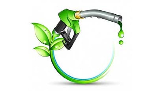 ಪರಿಸರ ಸ್ನೇಹಿ ಜೈವಿಕ ಇಂಧನ ಪೆಟ್ರೋಲ್ಗಿಂತಲೂ ಮೇಲು
