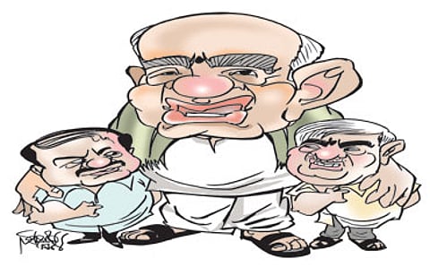 ಸ್ವಾರ್ಥಕ್ಕಾಗಿ ವಿದಳವಾಯ್ತು