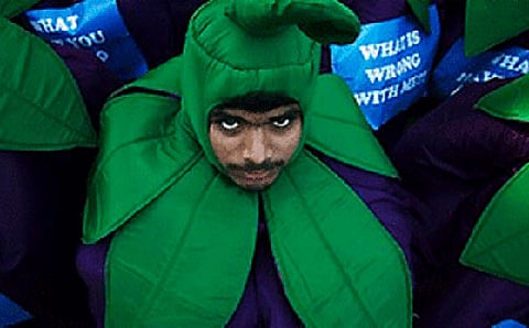 ಸರ್ಕಾರದ ಗುಮಾನಿಯಲ್ಲಿರುವ ಸ್ವಯಂಸೇವಾ ಸಂಸ್ಥೆಗಳು ಕುಲಾಂತರಿ ವಿರೋಧಿಗಳೂ ಹೌದು