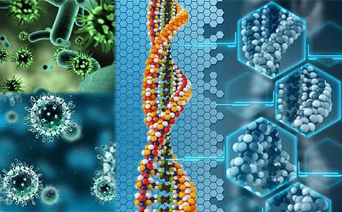 ಜೈವಿಕ ಆರ್ಥಿಕತೆಯಲ್ಲಿ ಸಿಂಥೆಟಿಕ್ ಬಯಾಲಜಿ ಪ್ರಾಮುಖ್ಯ