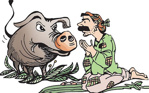 ಫಲಿಸಿದ ಆಸೆ