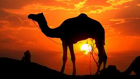 ಸಾಂದರ್ಭಿಕ ಚಿತ್ರ