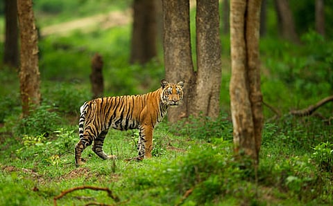 ಸಾಂದರ್ಭಿಕ ಚಿತ್ರ
