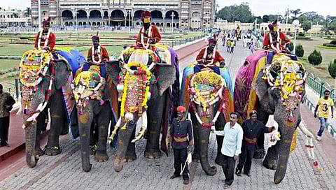 ತಾಲೀಮಿನಲ್ಲಿ ತೊಡಗಿರುವ ದಸರಾ ಆನೆಗಳು (ಸಂಗ್ರಹ ಚಿತ್ರ)