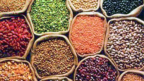 ರೈತರಿಂದಲೇ ಬೇಳೆಕಾಳು ಖರೀದಿ (ಸಂಗ್ರಹ ಚಿತ್ರ)