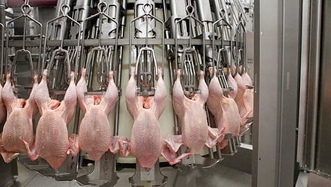 ಸಂಸ್ಕರಿತ ಮಾಂಸ (ಸಂಗ್ರಹ ಚಿತ್ರ)