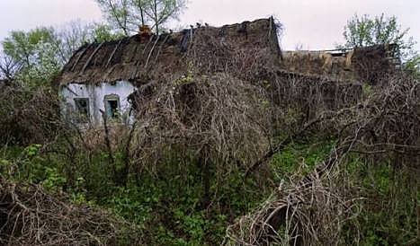 ಚೆರ್ನೋಬಿಲ್ ದುರಂತದ ನಿಷೇಧಿತ ಪ್ರದೇಶದ ಒಂದು ದೃಶ್ಯ