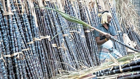 ಕಬ್ಬು